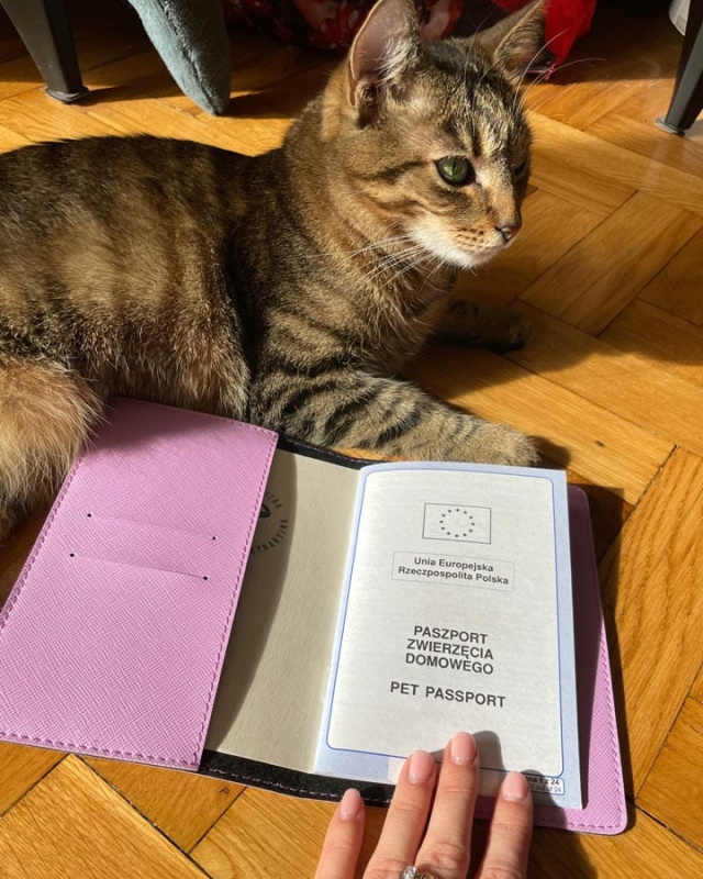 personalizowane etui na paszport psa, kota, zwięrząt, personalizowana okładka A6, etui na książeczkę zdrowia psa weterynaryjną