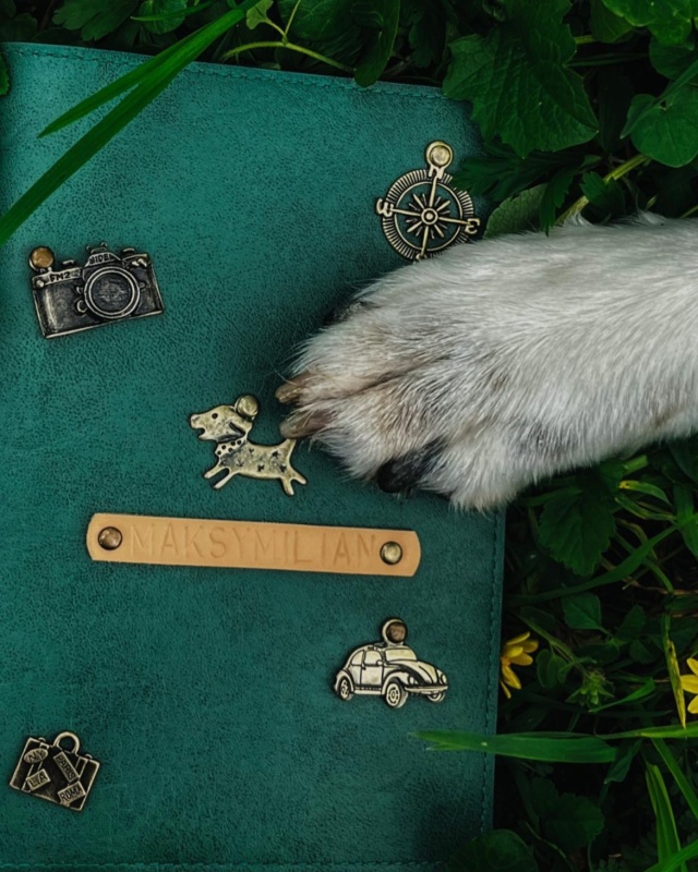 personalizowane etui na paszport psa, kota, zwierząt, personalizowana okładka A6, etui na książeczkę zdrowia psa weterynaryjną
